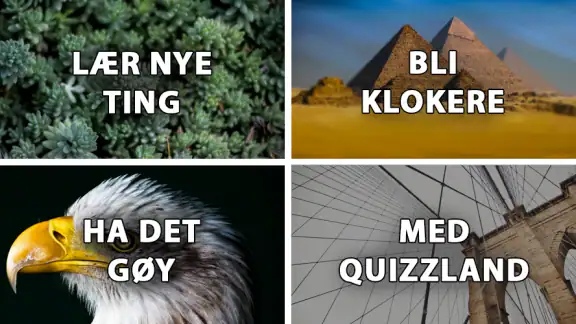 QuizzLand: Trivia på norsk