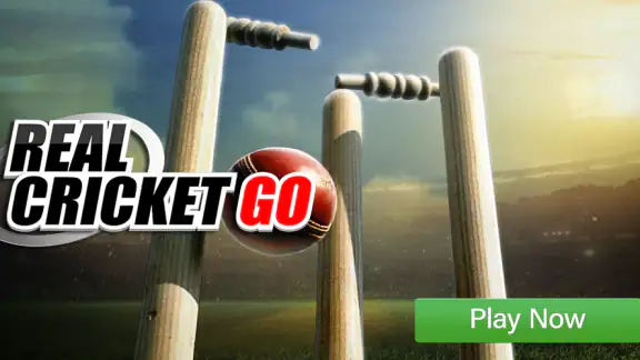 Real Cricket™ GO