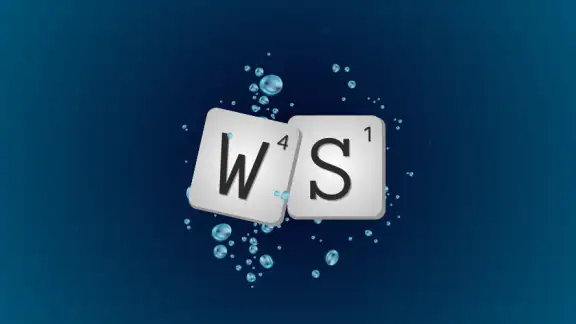 WF Solver