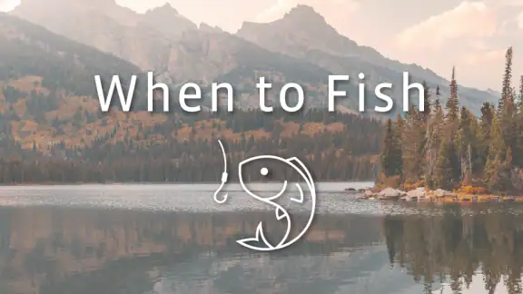 When to Fish - Fishing App