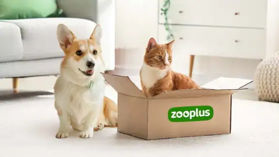 zooplus