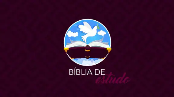Bíblia de estudo pregai audio
