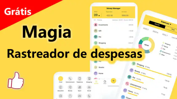 Gestor de Despesas e Orçamento