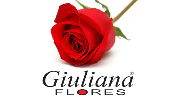 Giuliana Flores