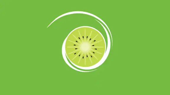 Kiwi Browser - Fast & Quiet