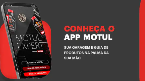 Motul Expert