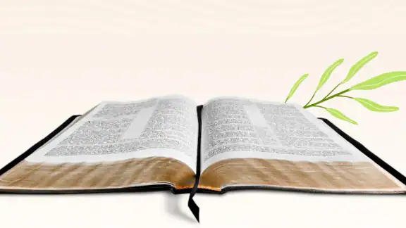 Salmos e Provérbios da Bíblia