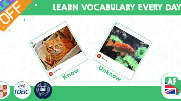 Koki FlashCard