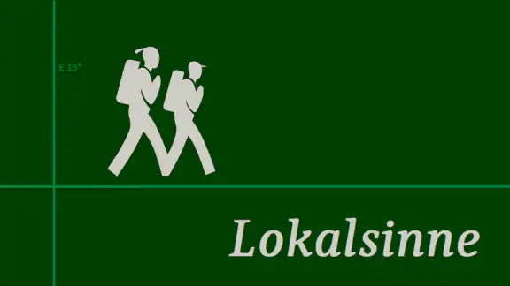 Lokalsinne