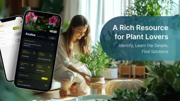 Plant Care - AI Identifier