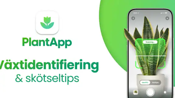 PlantApp – Identifiera växter