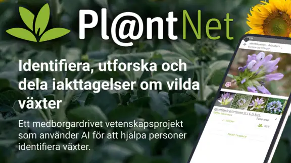 PlantNet Växtidentifiering