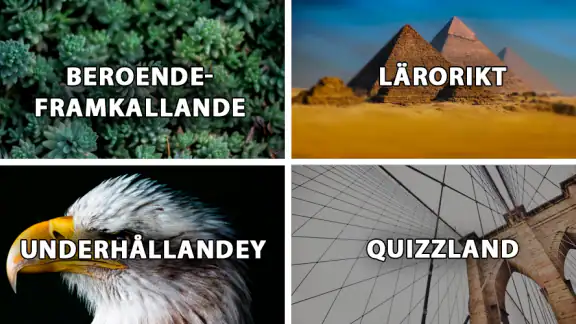 QuizzLand: quiz på svenska