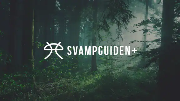 Svampguiden+