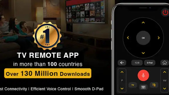 Universal TV Remote Control