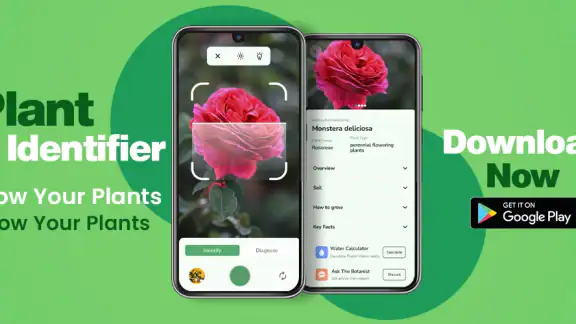 Växtidentifierare - Växtapp