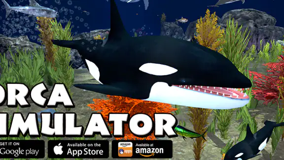 Orca Simulator