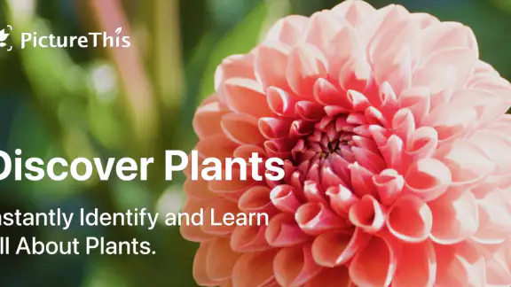 PictureThis - Plant Identifier