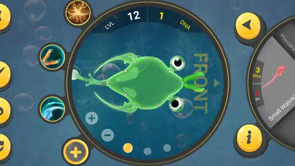 Spore Evolution-Microbes World