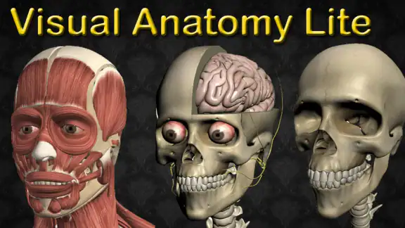 Visual Anatomy Lite