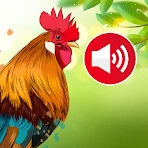 Sons et Sonneries D'animaux icon