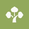 Bonsai Care App icon