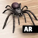 AR Spiders & Co: Scare friends icon
