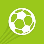 Fussballtrainer icon