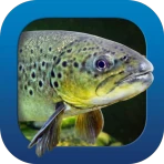 Heintges Angelschein Trainer icon