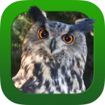 Heintges Jagdprüfung 2024 icon