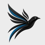 BegzarVPN icon