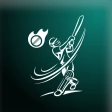 CrickStar icon