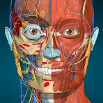 Anatomy Learning - Anatomía 3D icon