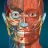 Anatomy Learning By Dr. Blanco icon