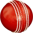 Cricket All-rounder | Practice icon
