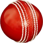Cricket All-rounder | Practice icon