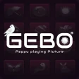 GEBO® Pappu Playing Pictures icon