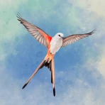 Wingspan (Flügelschlag) icon