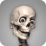 Skelly: Poseable Anatomy Model icon