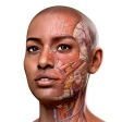 Complete Anatomy - Learn in 3D
