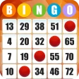 Bingo Absoluto