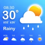 Vejrudsigt, Live Vejr icon