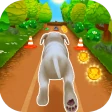 Pet Run - Puppy Dog Game icon