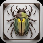 Käfer & Insekten Bestimmen icon