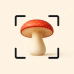 Funghi Riconoscimento Italiano icon