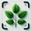 Kasvin Tunnistus - Plantio icon