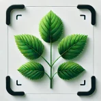 Kasvin Tunnistus - Plantio icon
