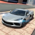 Extreme Car Driving Simulator