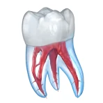 Ilustraciones dentales icon