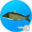 Реальная Рыбалка (ключ) icon
